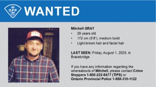 Man with light brown hair and beard, 5’8” and medium build. Text: WANTED, Mitchell GRAY, 29 years old, Last Seen: Friday, August 1, 2025, in Bracebridge. If you have any information regarding the whereabouts of Mitchell, please contact Crime Stoppers 1-800-222-8477 (TIPS) or Ontario Provincial Police 1-888-310-1122