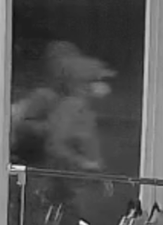 Unclear image