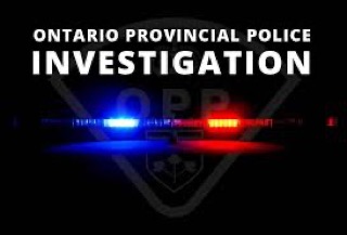 Ontario Provincial Police crest with flashing blue and red lights.