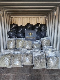 Packages of plant material inside a shipping container.