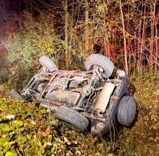 Flipped car in foliage