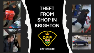Theft from shop in Brighton