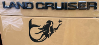 Black mermaid silhouette