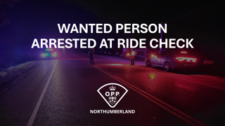 WANTED PERSON ARRESTED AT RIDE CHECK