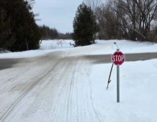 Stop sign in snow.