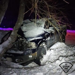 Damaged vehicle embedded in snow-covered trees