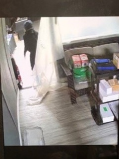 Black dog standing near a doorway, light-colored rug on the floor, stacked boxes and crates in the background.