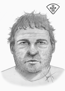Portrait of a man with short, messy hair and a full beard.