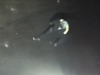 Person in dark clothing and scuba gear swimming