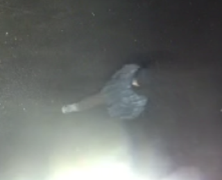 Unclear image