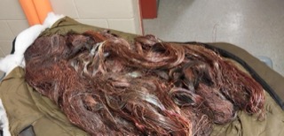 Pile of reddish-brown copper wire