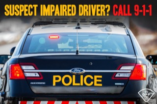 Police cruiser, back view, black