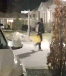 Person walking on a sidewalk at night.