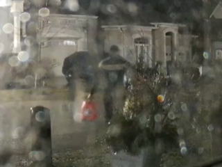 Rainy scene, blurred.