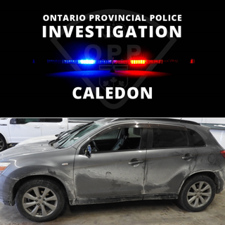 Gray SUV with police decals
