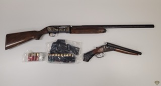 Two shotguns and ammunition.