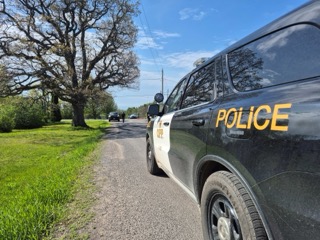 Black police van, roadside grass, trees