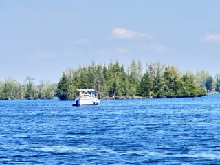 Motorboat on blue water, evergreen trees in background