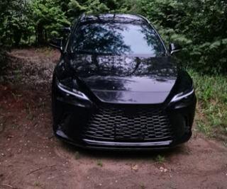 Black car parked on a dirt road, surrounded by trees
