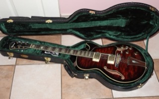 Red and brown sunburst electric guitar in a green case