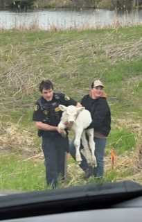 Police officer and man holding a baby goat